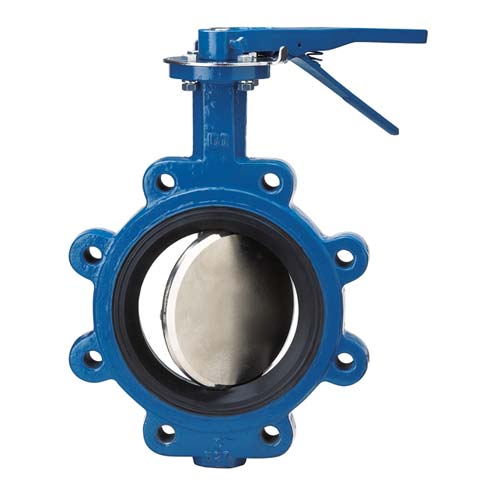 SS 904L Butterfly Valves